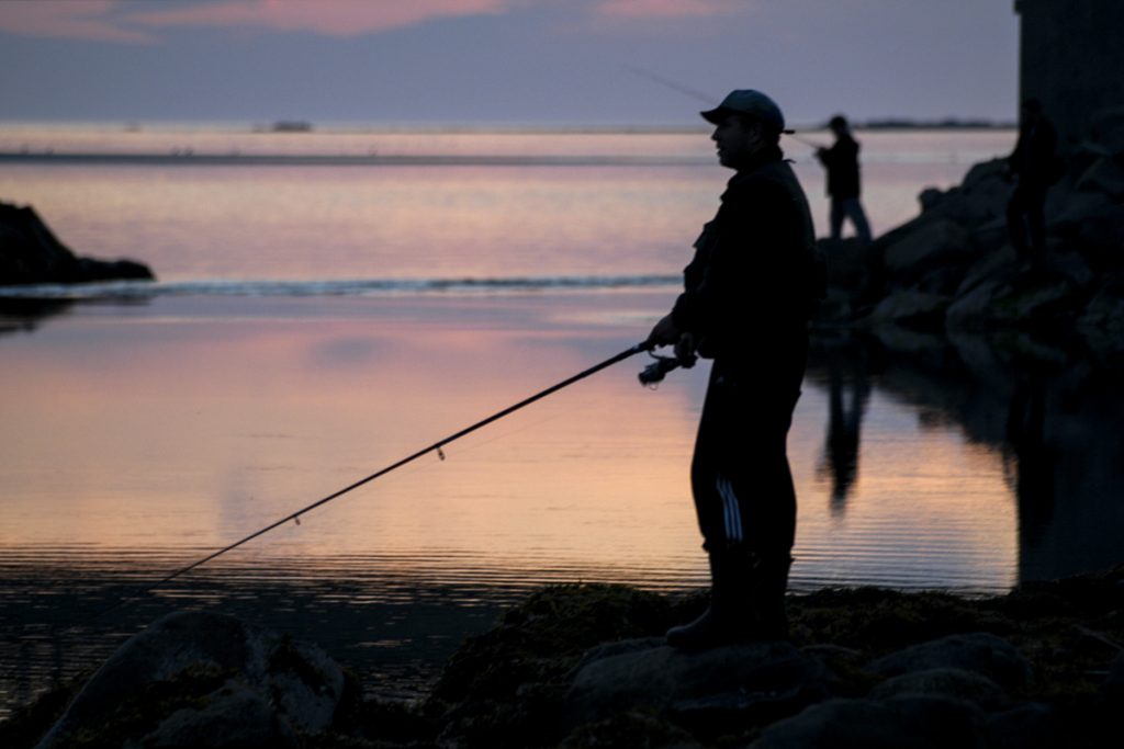 silhouette of person fishing